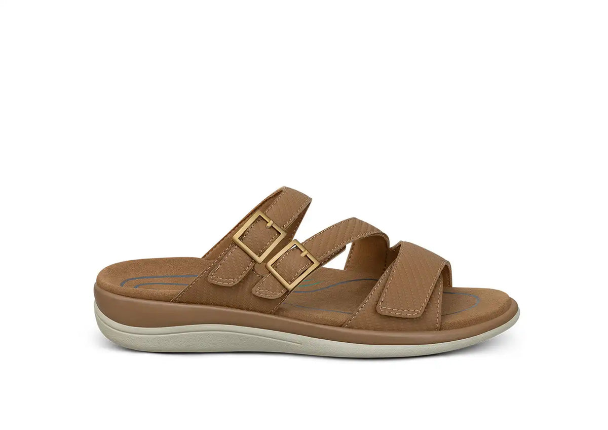 Sahara